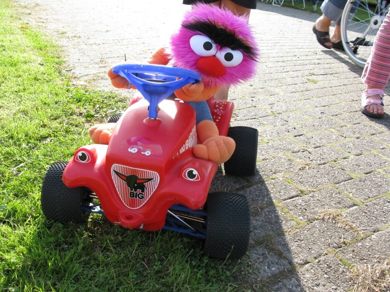Friesland 2009P
