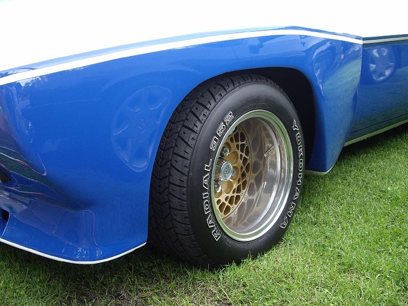 Capritreffen Friesland 2009