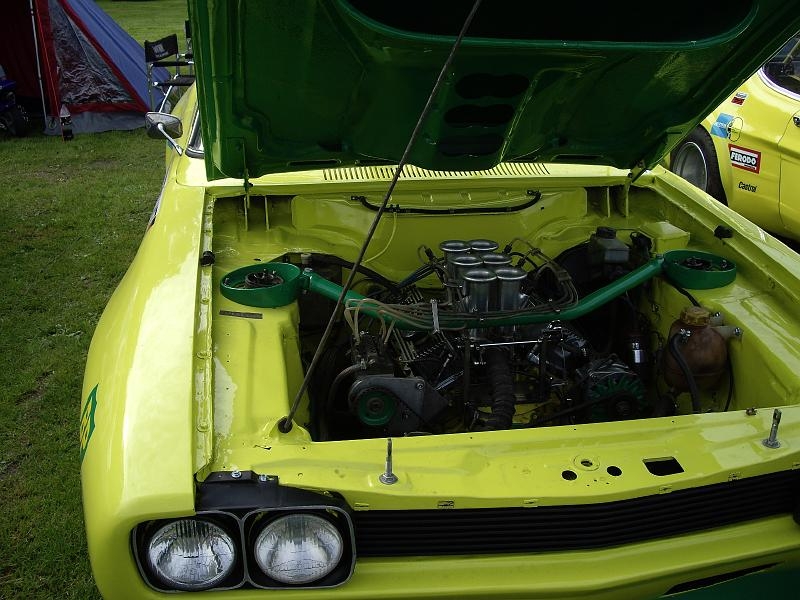 Capritreffen Friesland 2009