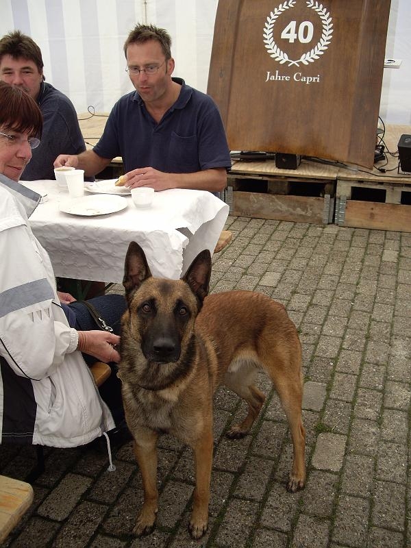 Capritreffen Friesland 2009