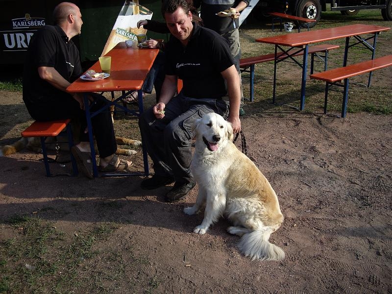 Saarland 2008