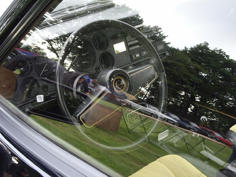 Capritreffen Friesland 2009