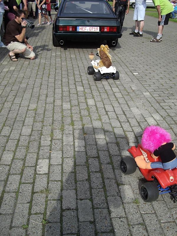 Capritreffen Friesland 2009