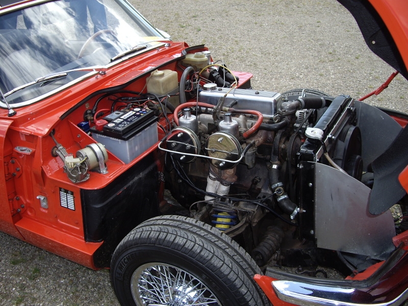 Thalfang 2012_75